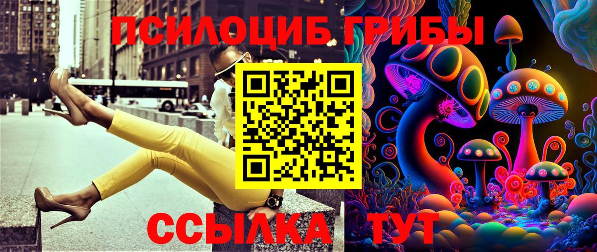 Галлюциногенные грибы Psilocybine cubensis  Вход с VPN  Бутурлиновка 