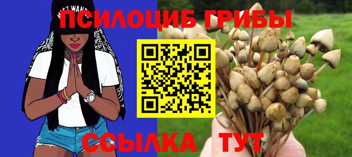Галлюциногенные грибы ЛСД Бутурлиновка